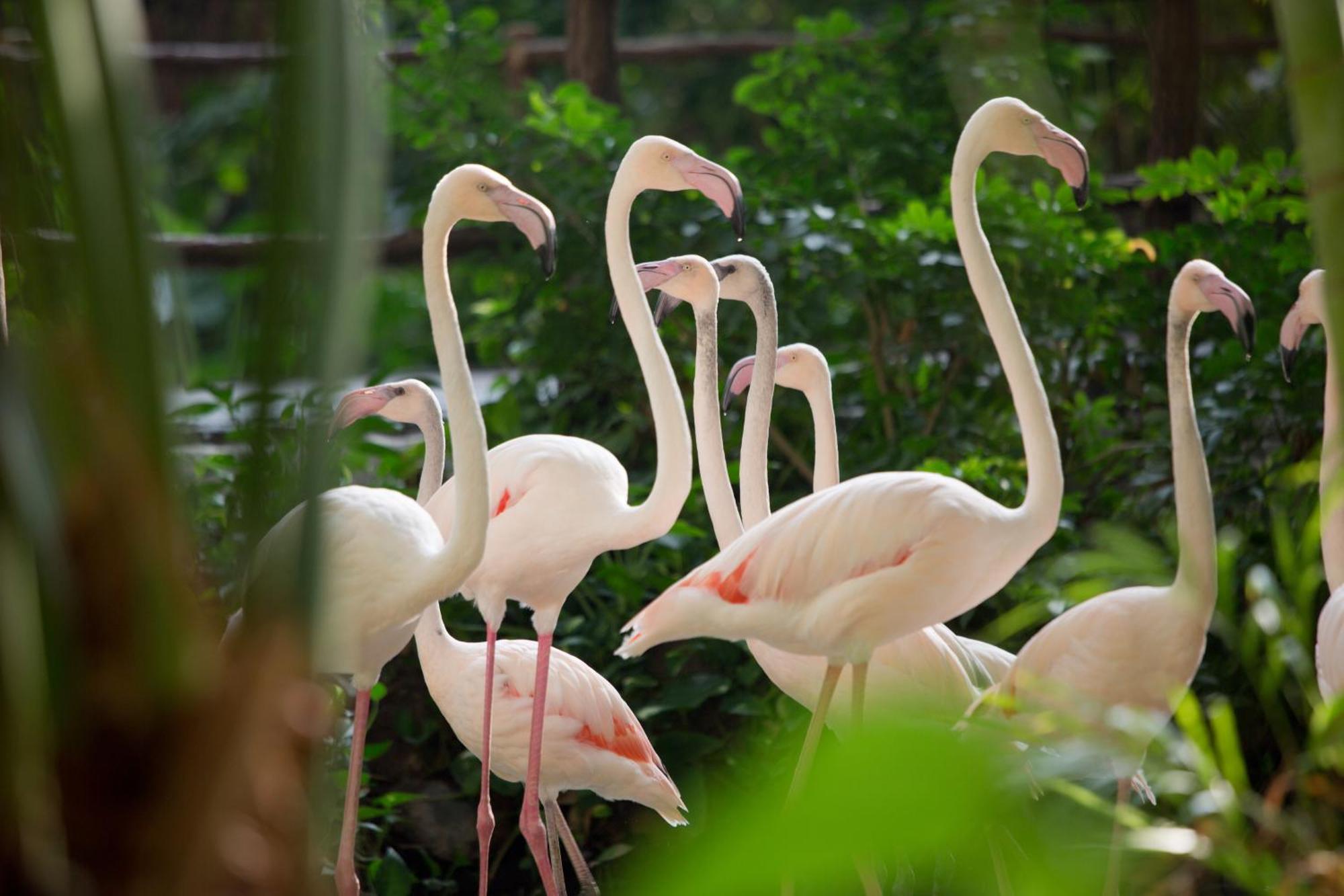Tropical Islands Resort Briesen  ภายนอก รูปภาพ